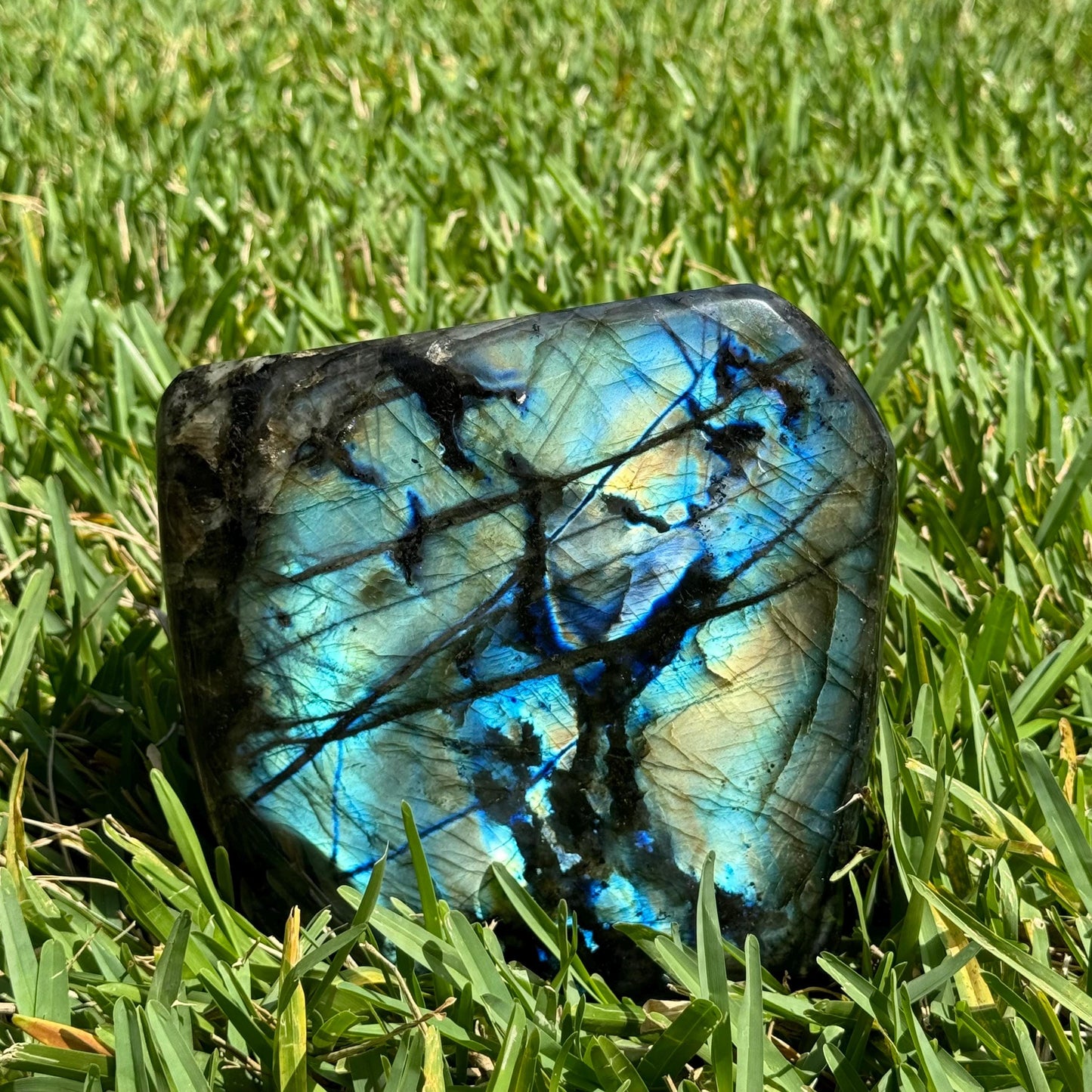 XL Labradorite Freeform Specimen with Mixed Blue, Green, and Gold Flashes - 13.4 lbs (6.1 KG) - Intuition Enhancing Crystal