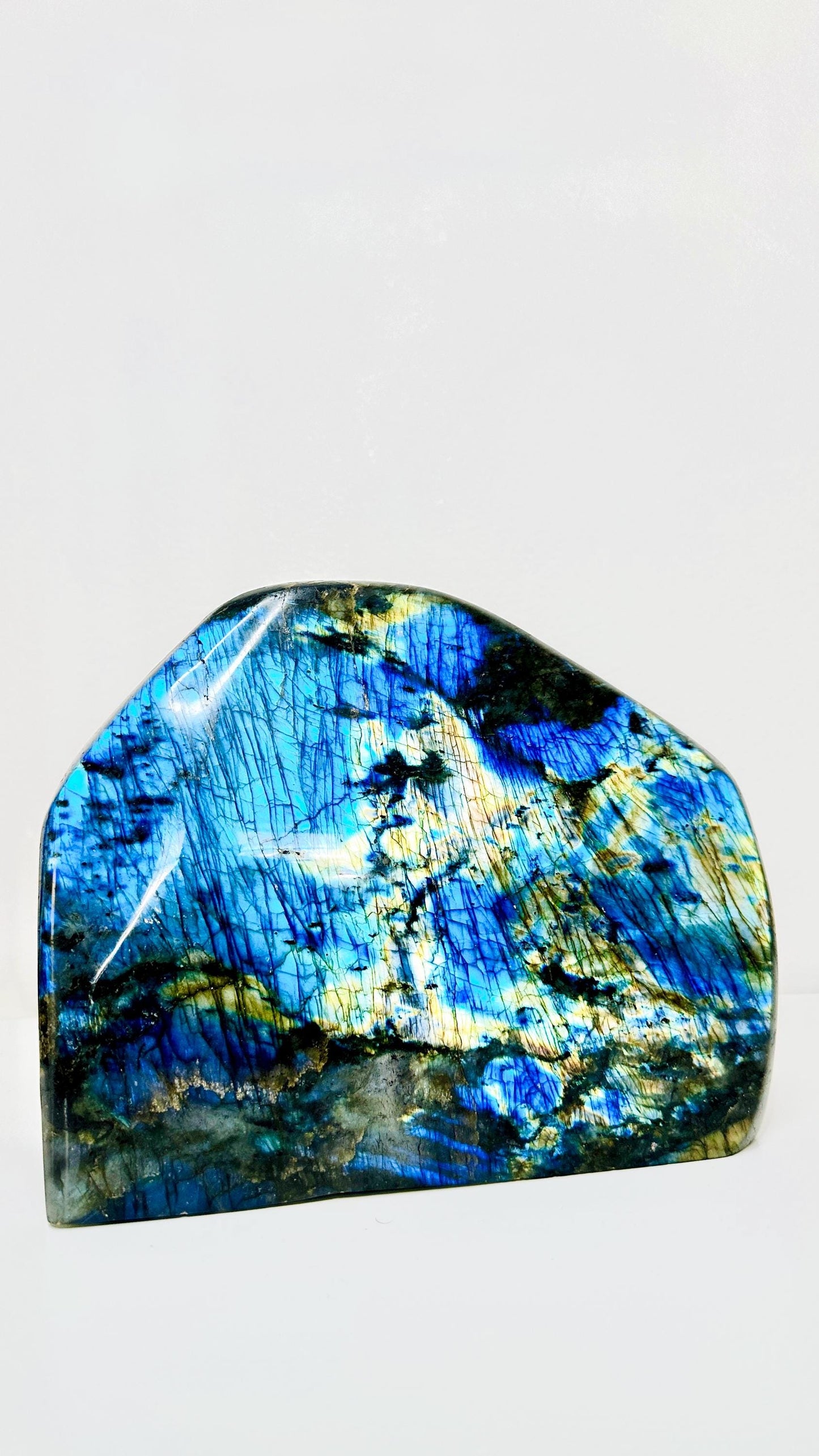 XL Labradorite Freeform Specimen with Blue & Gold Flashes - 15.5 lbs (7 KG) - Intuition Enhancing Crystal