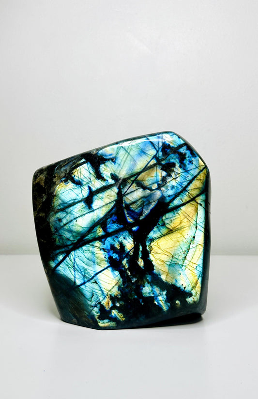 XL Labradorite Freeform Specimen with Mixed Blue, Green, and Gold Flashes - 13.4 lbs (6.1 KG) - Intuition Enhancing Crystal