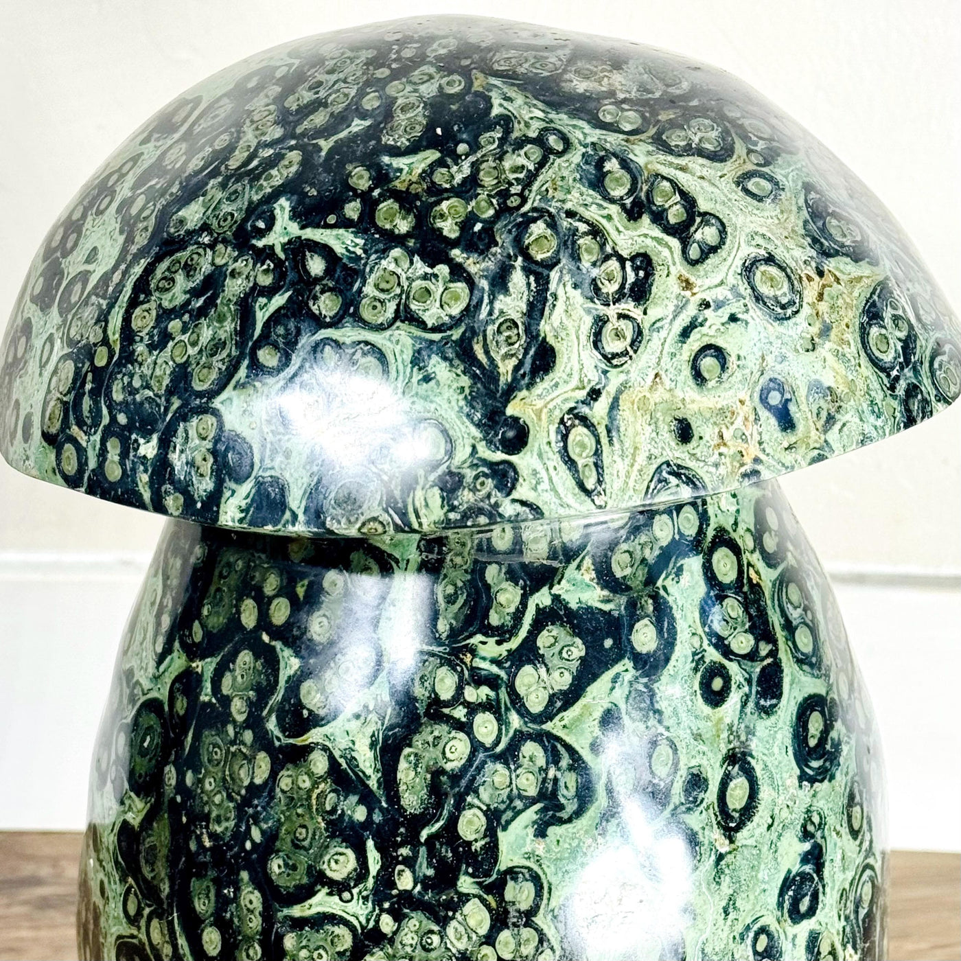 Closer view of the Kabamba mushroom cap and upper stem with circular green and black patterns