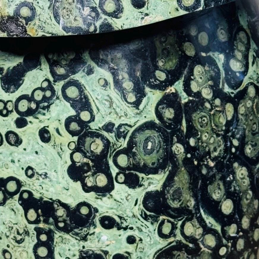 Detail of orbicular markings beneath the cap of the Kabamba Jasper mushroom