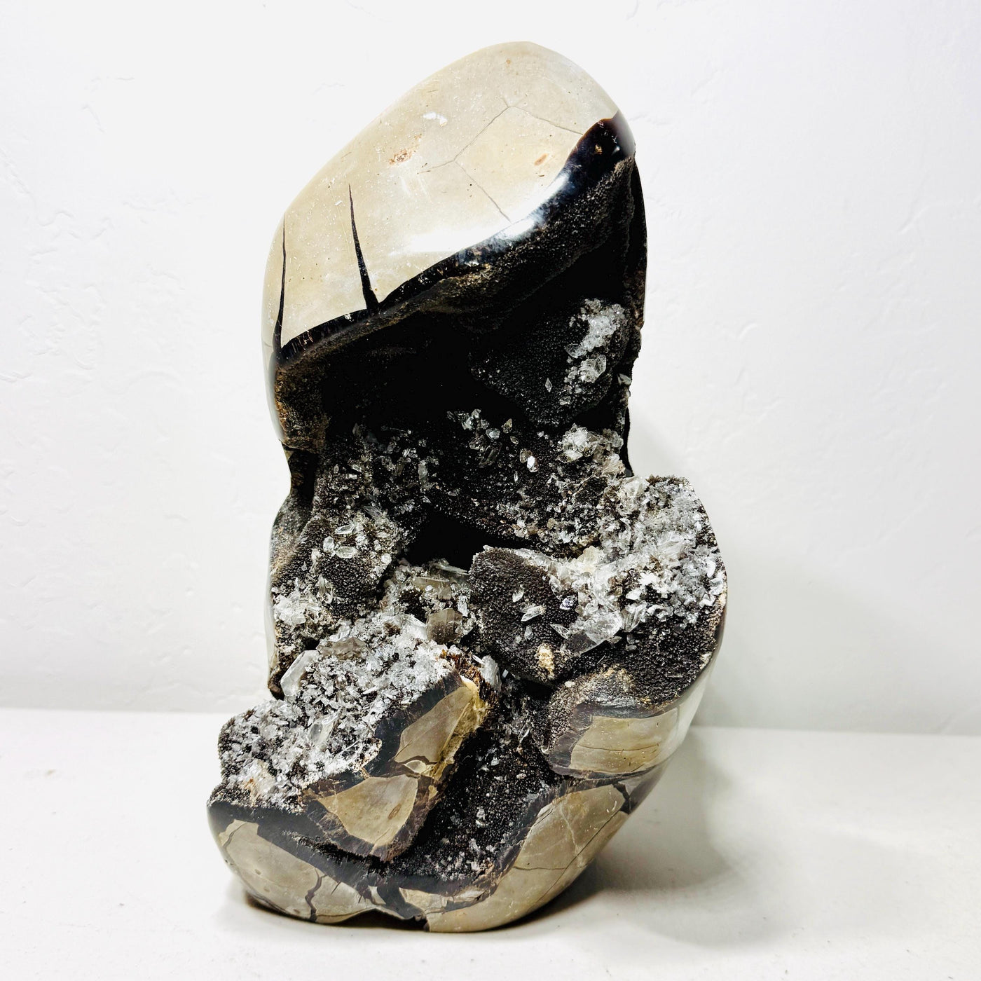 Angled view of Septarian AET17 showing clear crystals beneath its polished upper panel