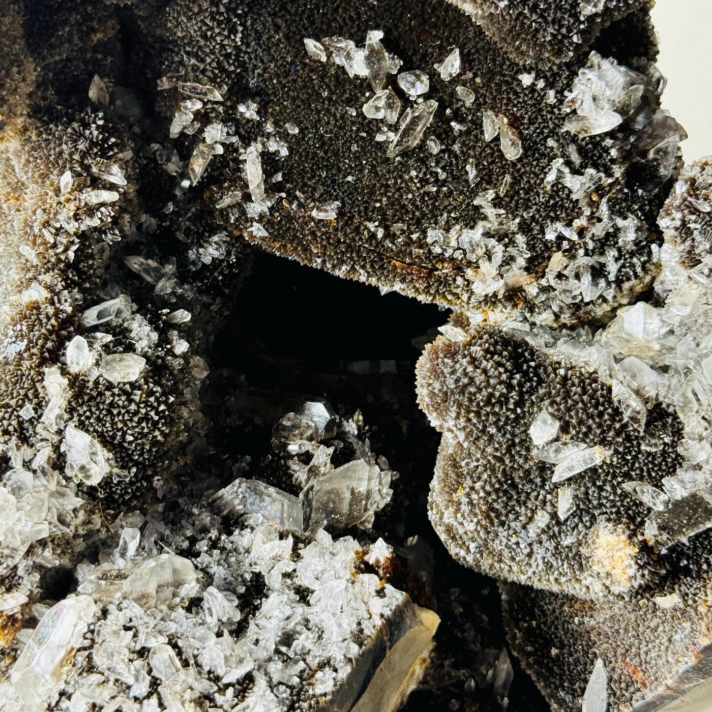 Close-up of clear crystal formations and dark druzy texture inside Septarian AET17