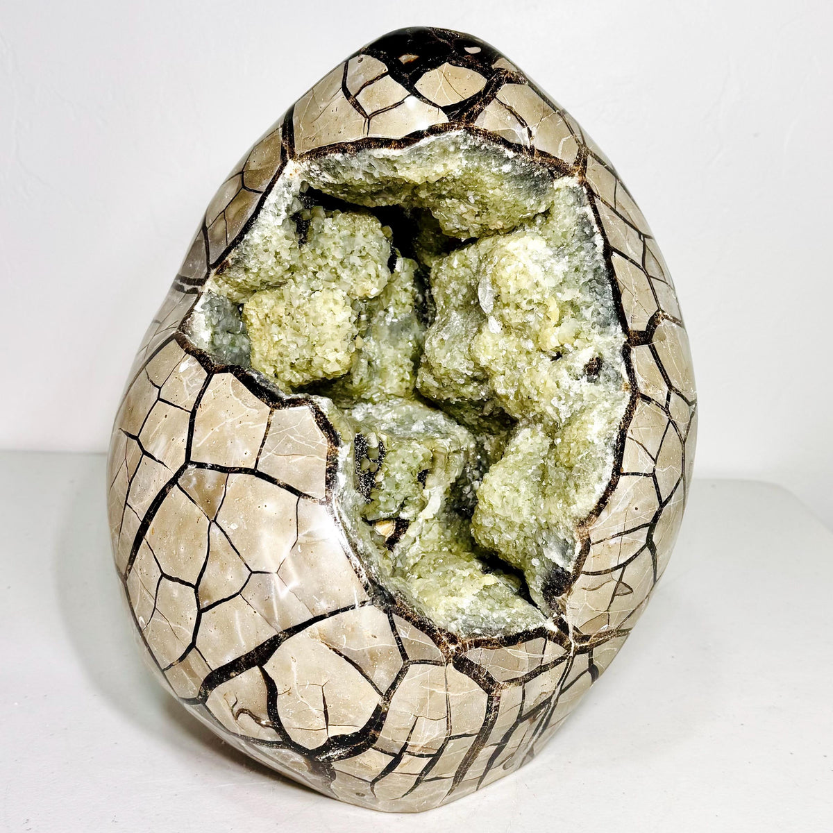 Septarian AET29, 56 lb polished Dragon Stone with large golden-yellow druzy geode cavity