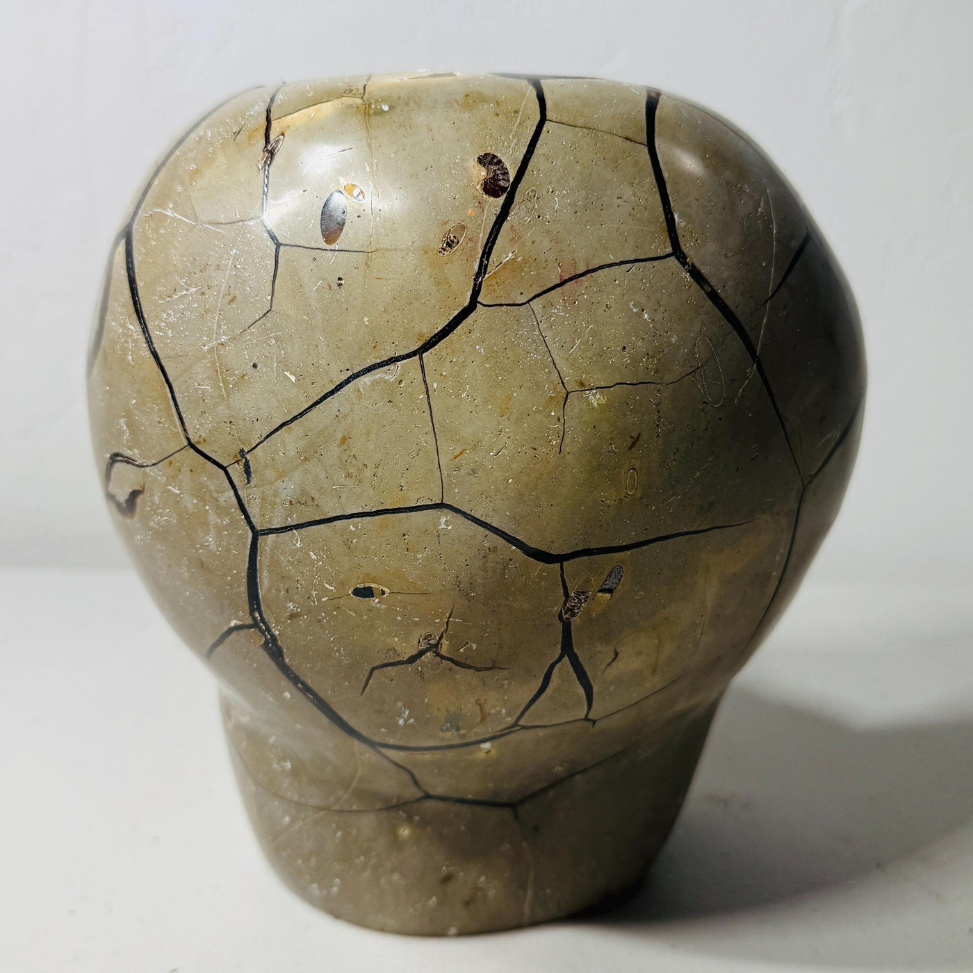 Polished reverse of Septarian AET16 with branching dark veins across beige stone