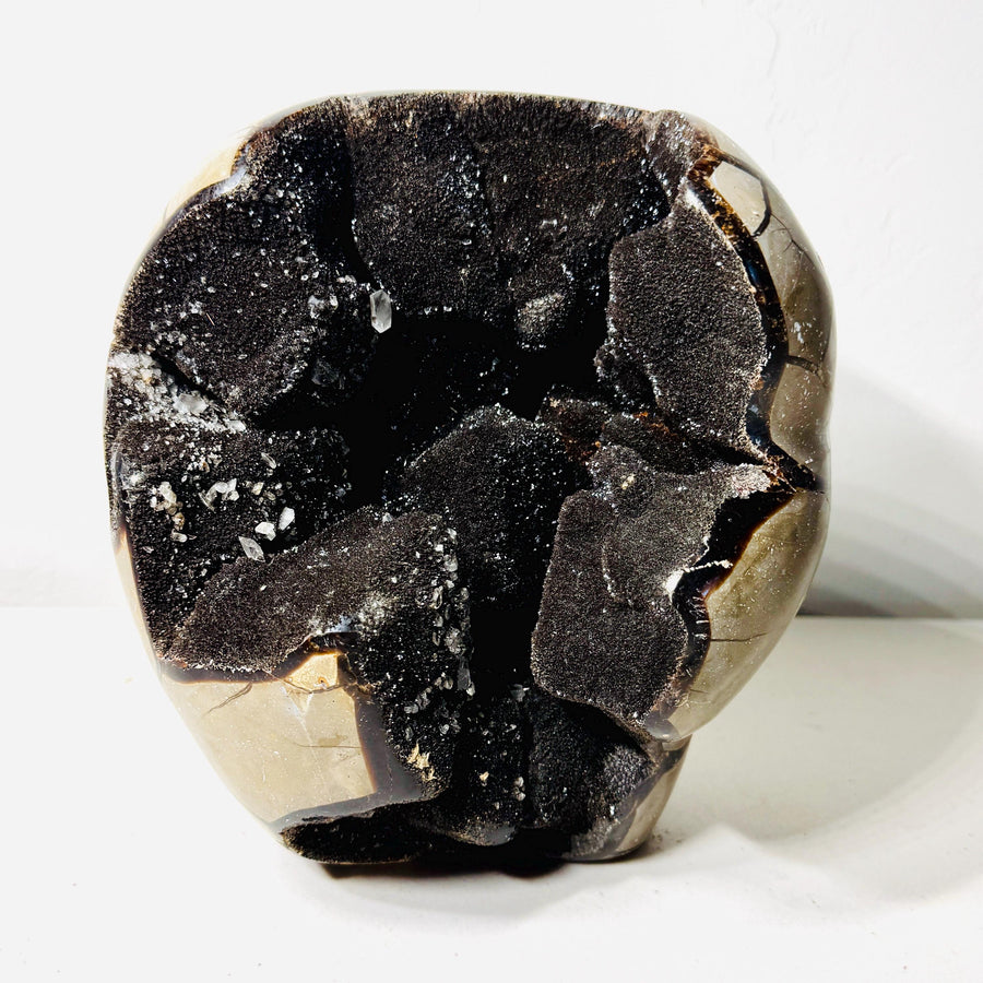 Septarian AET16, 10.7 lb freeform with large dark druzy cavities and polished beige edges