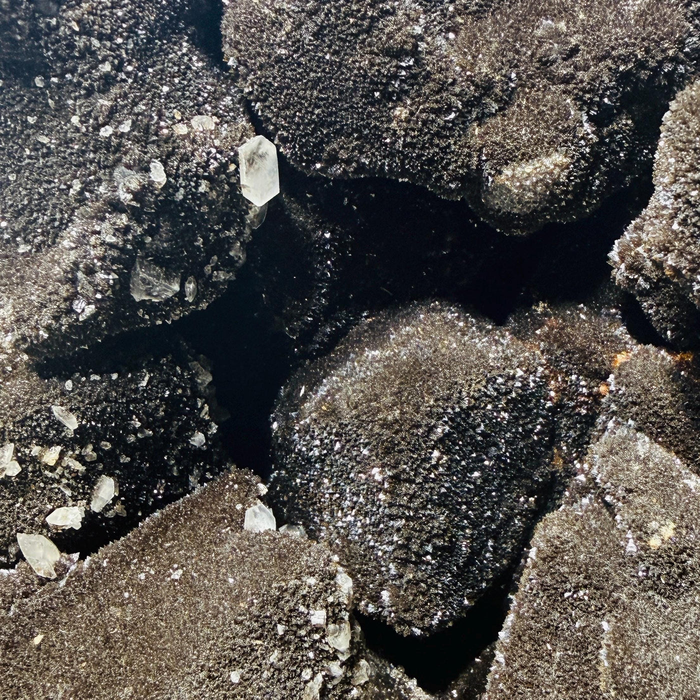 Close-up of dark druzy formations and small clear crystal accents inside Septarian AET16