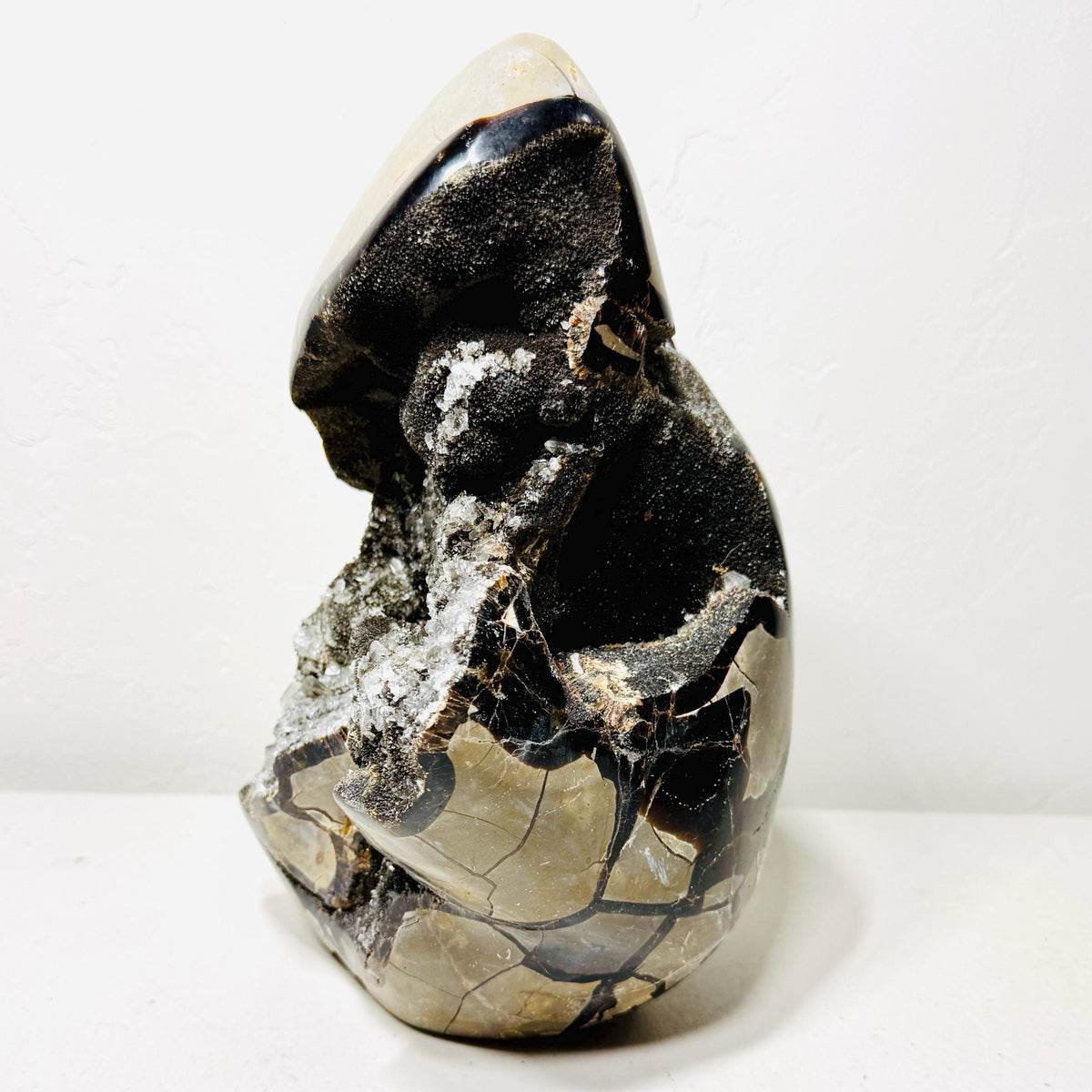 Septarian AET17, 15 lb tall freeform with clear crystals in an open dark druzy cavity