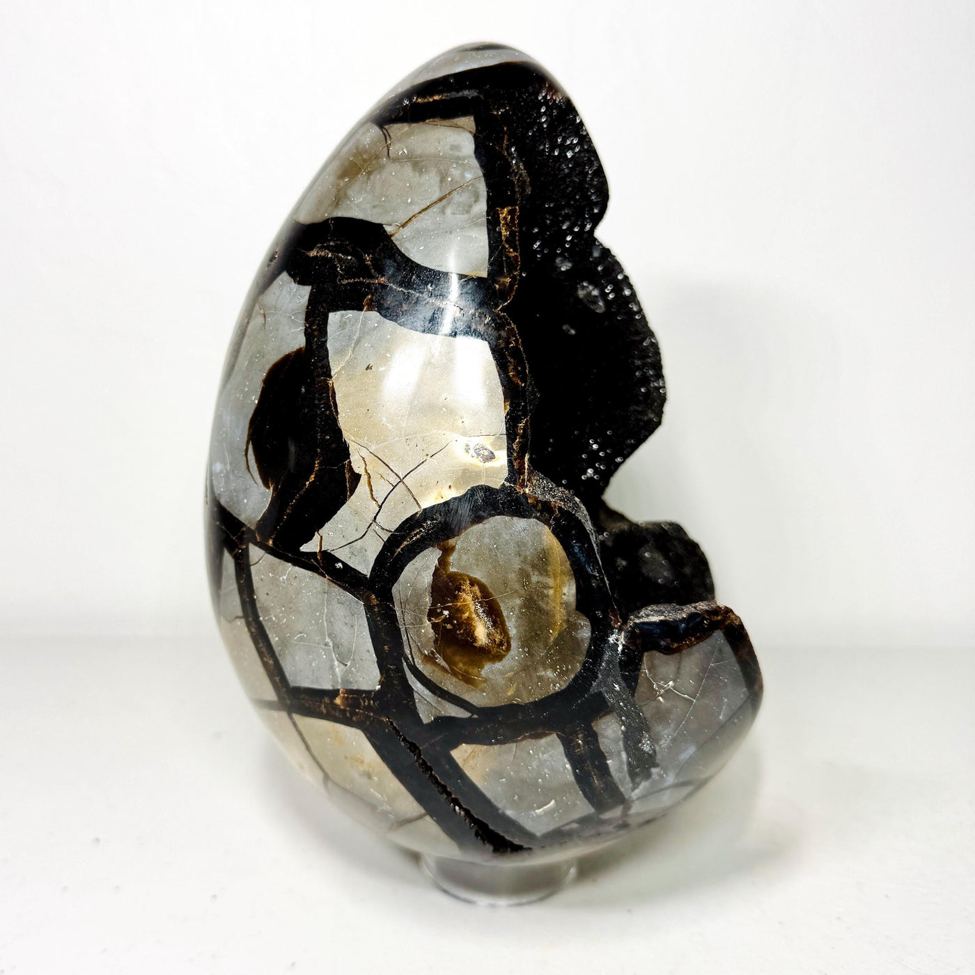 One-of-a-kind Septarian Dragon Stone egg with druzy cavities, view 2