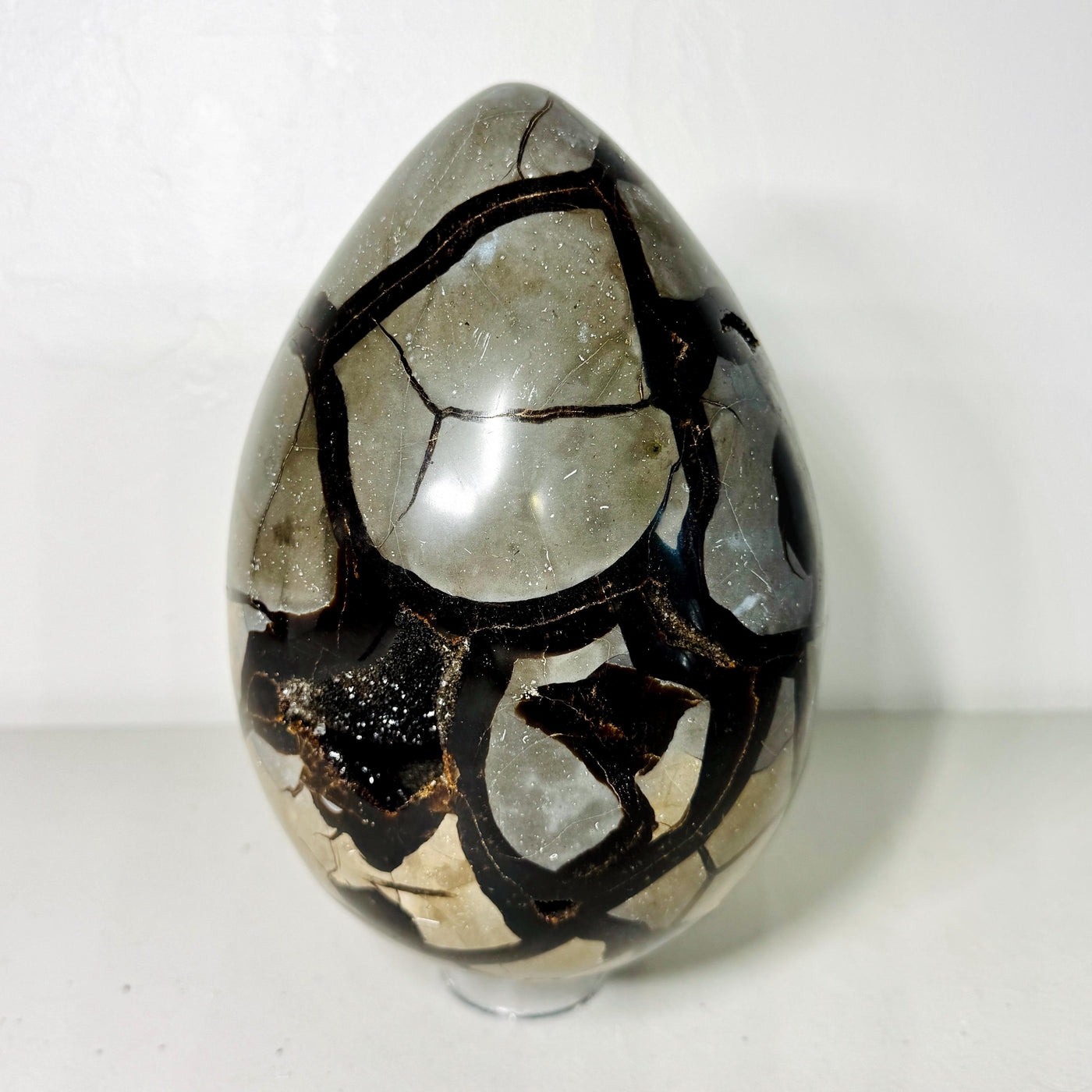 One-of-a-kind Septarian Dragon Stone egg with druzy cavities, view 3