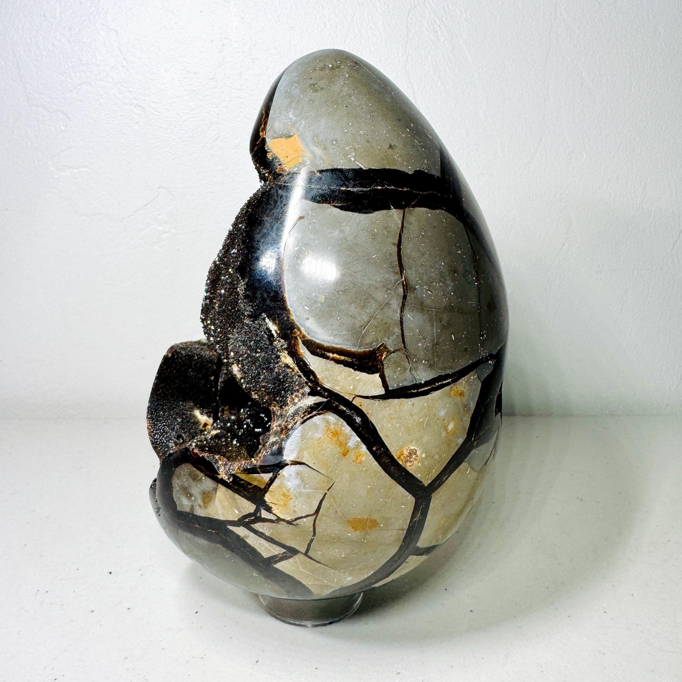 One-of-a-kind Septarian Dragon Stone egg with druzy cavities, view 4