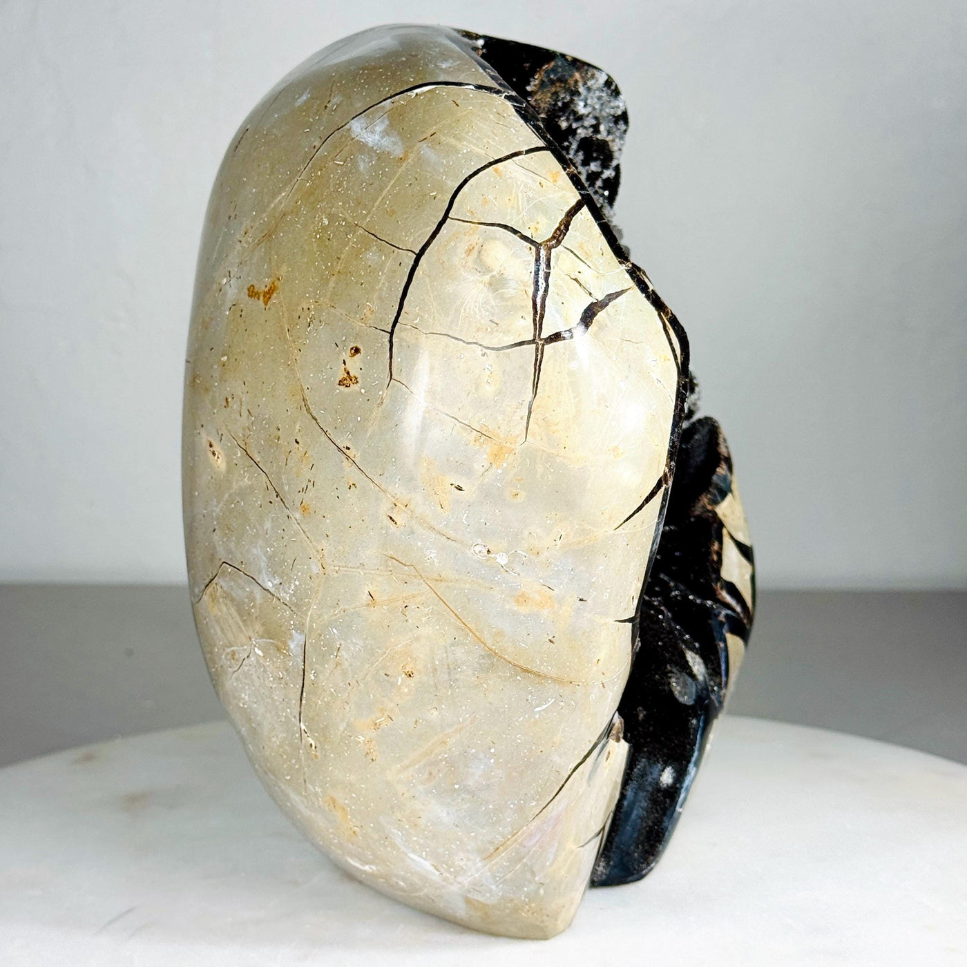 One-of-a-kind Septarian druzy geode freeform, view 4