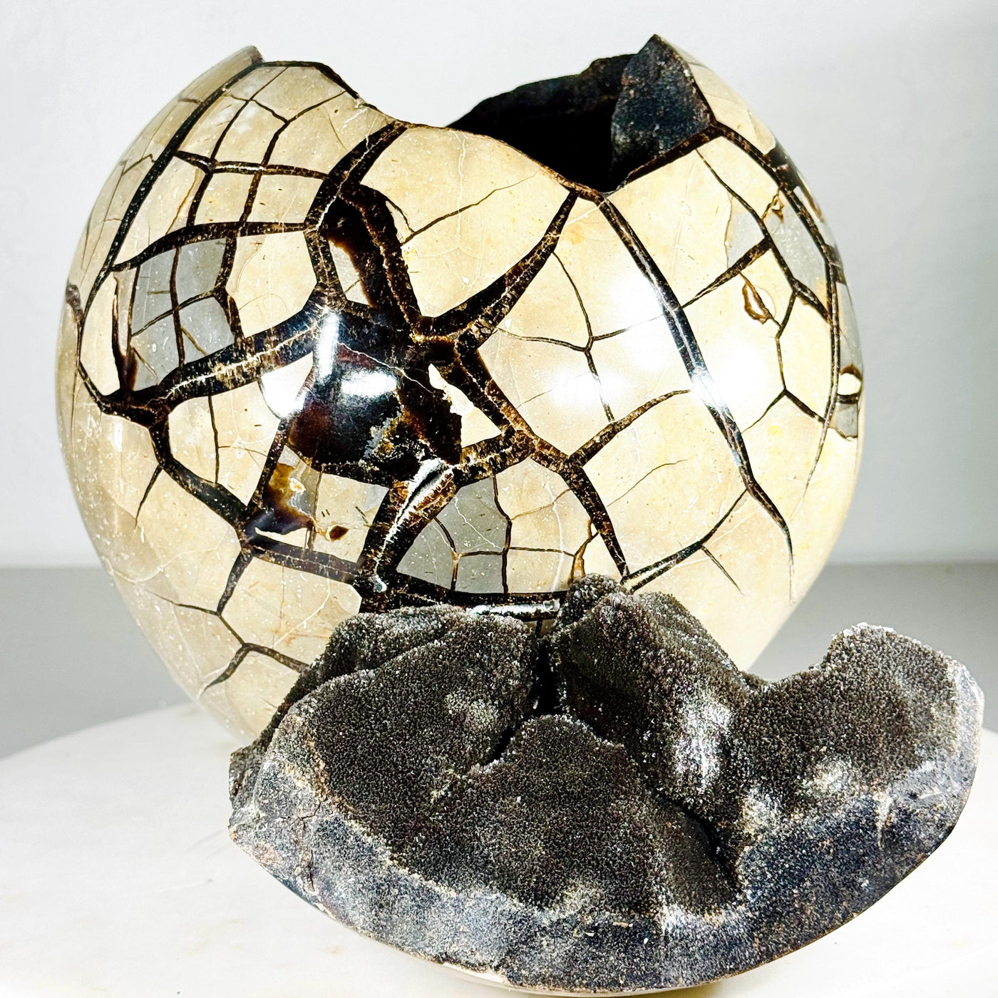 One-of-a-Kind Septarian Geode with Removable Lid — 36.5 lb — média du produit 1