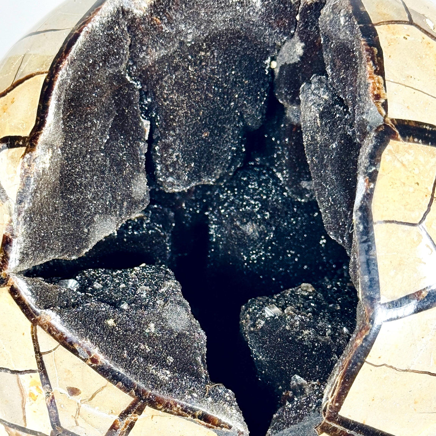 One-of-a-Kind Septarian Geode with Removable Lid — 36.5 lb — média du produit 2