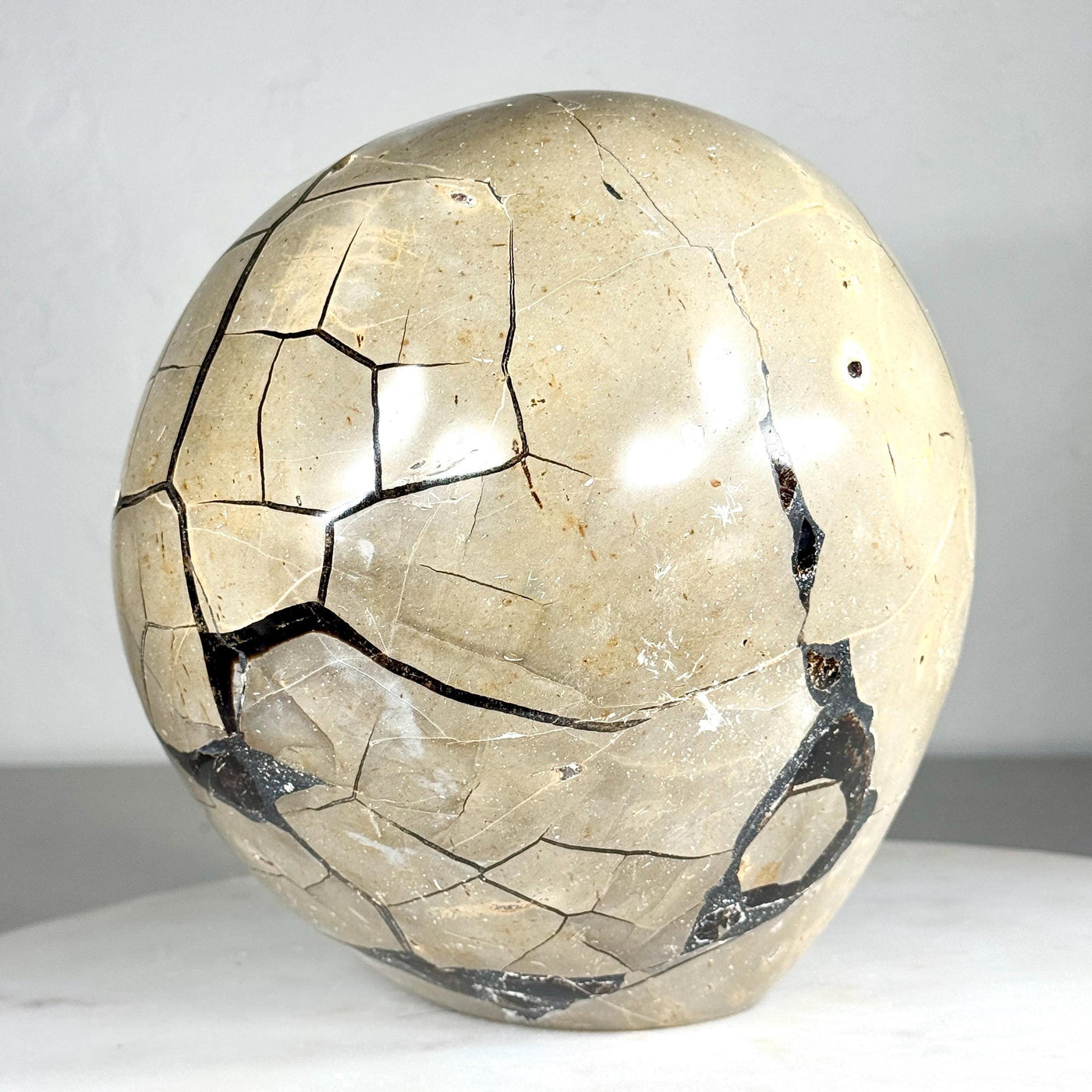 One-of-a-Kind Septarian Geode with Removable Lid — 36.5 lb — média du produit 3