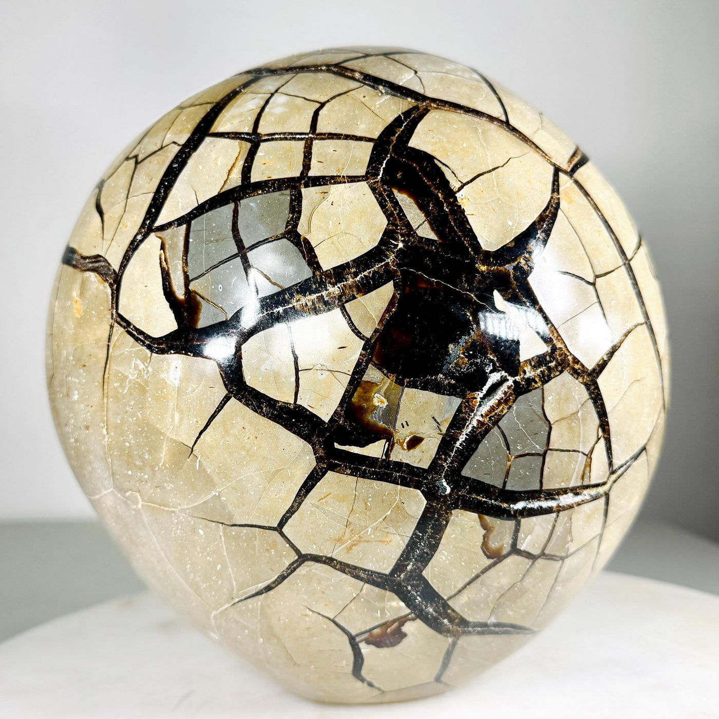 One-of-a-Kind Septarian Geode with Removable Lid — 36.5 lb — média du produit 4