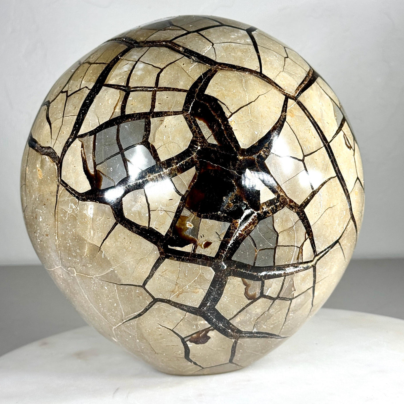 One-of-a-Kind Septarian Geode with Removable Lid — 36.5 lb — média du produit 5