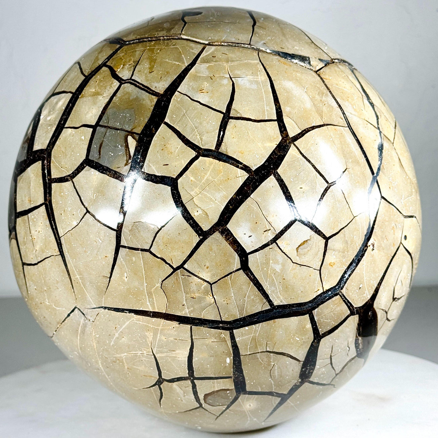 One-of-a-Kind Septarian Geode with Removable Lid — 36.5 lb — média du produit 6