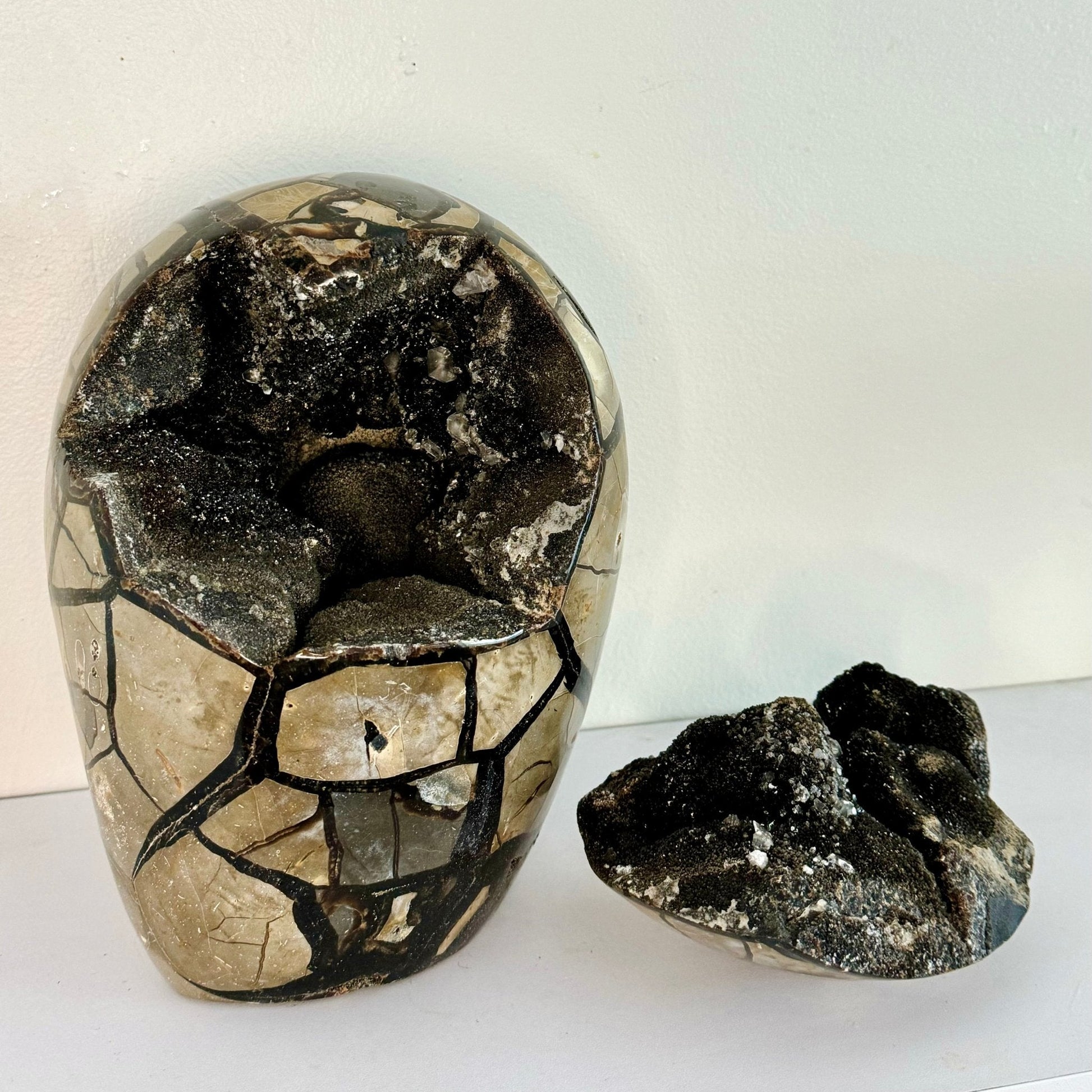 Large Septarian Geode with Cover - Natural Healing Stone - KREATEUR MIAMI