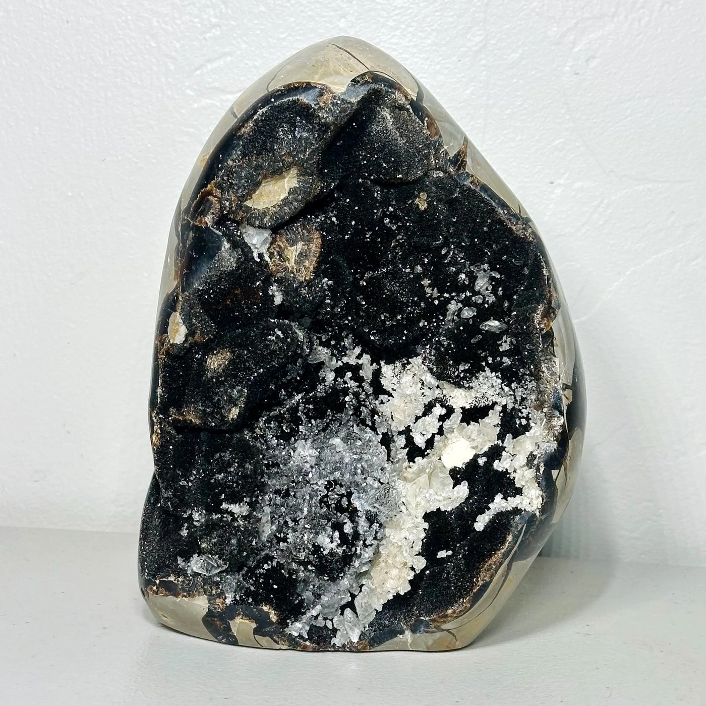 One-of-a-Kind Septarian Freeform with Druzy Cavity (7.5 in, 6 lb) — média du produit 1