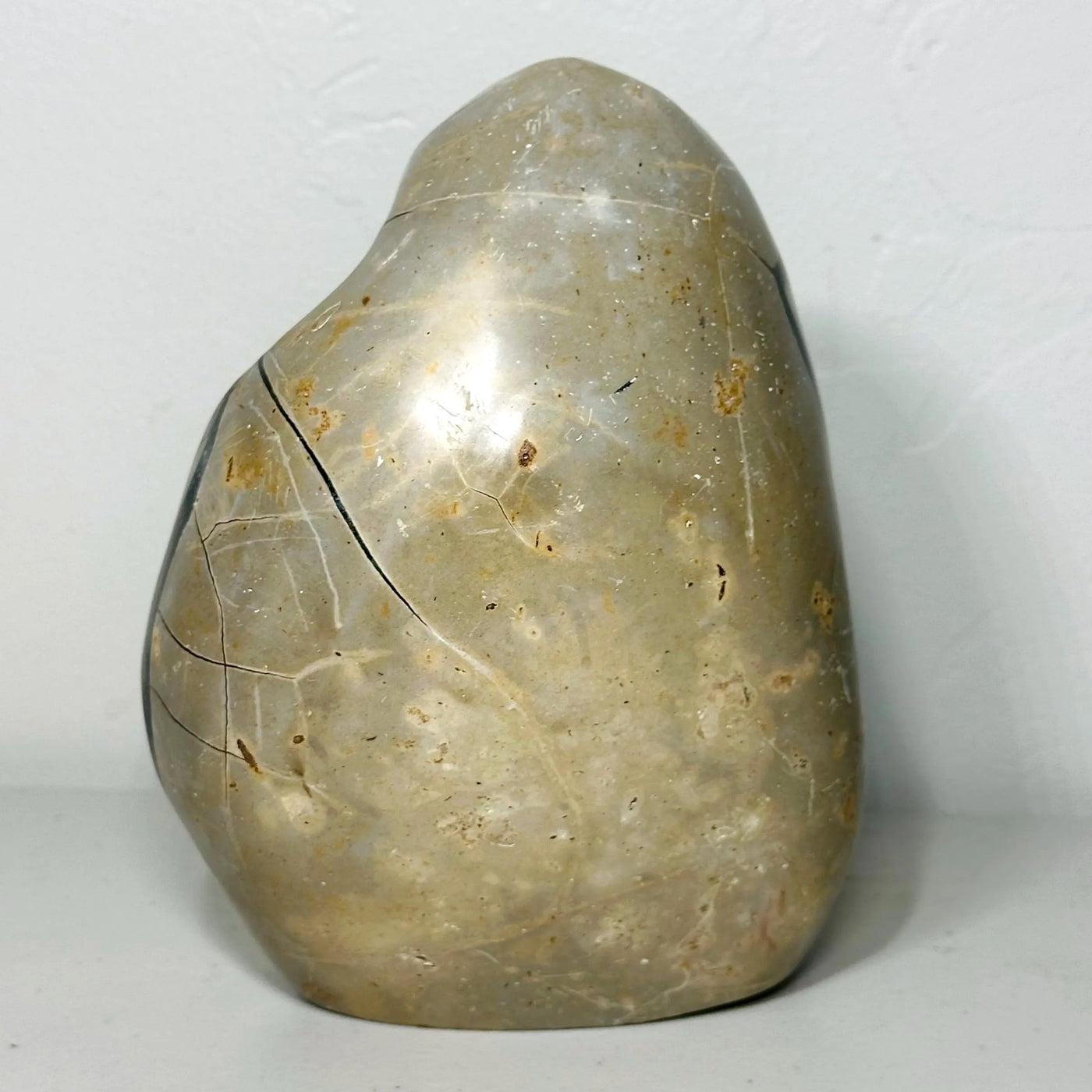 One-of-a-Kind Septarian Freeform with Druzy Cavity (7.5 in, 6 lb) — média du produit 4