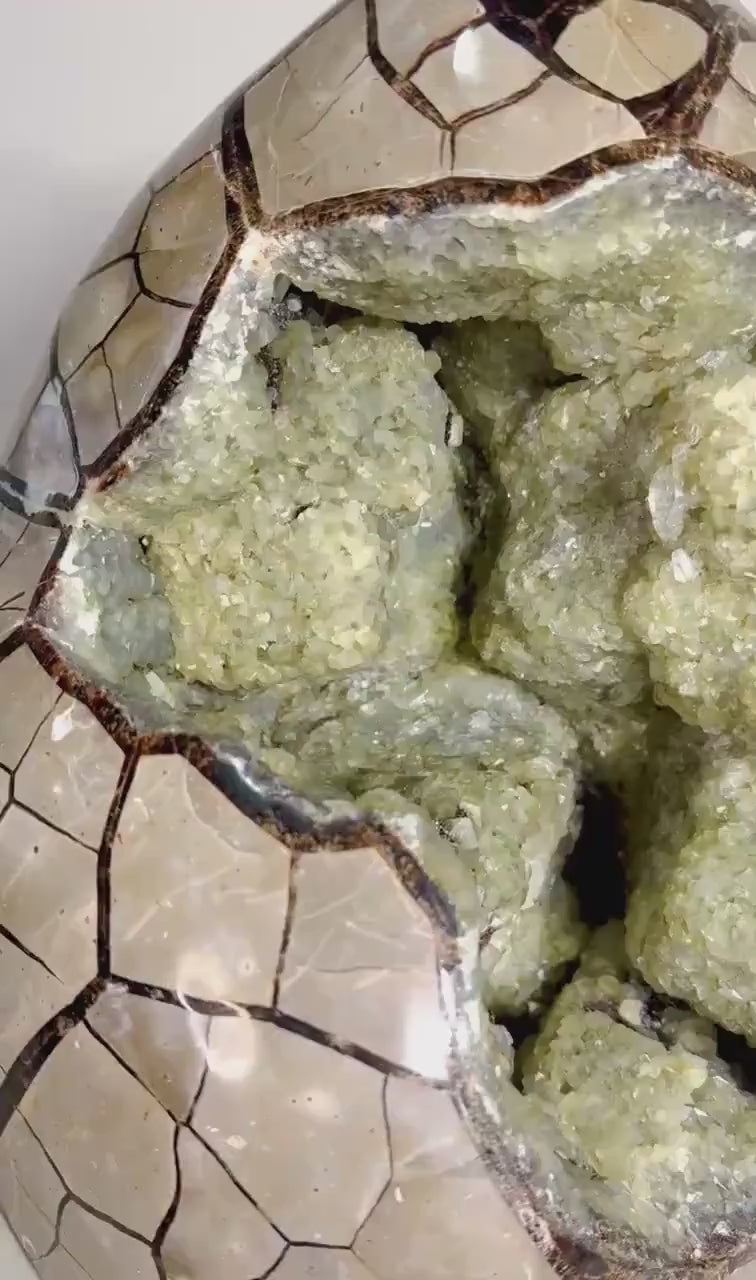 One-of-a-Kind Septarian Dragon Stone with Golden Druzy — 56 lb — video of the exact specimen AET29