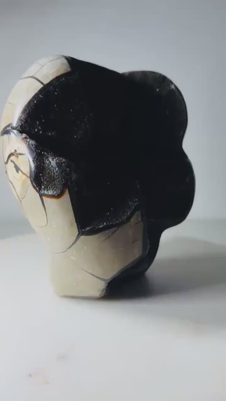 Septarian Dragon Stone with Dark Druzy, 10.7 lb — video of the exact piece