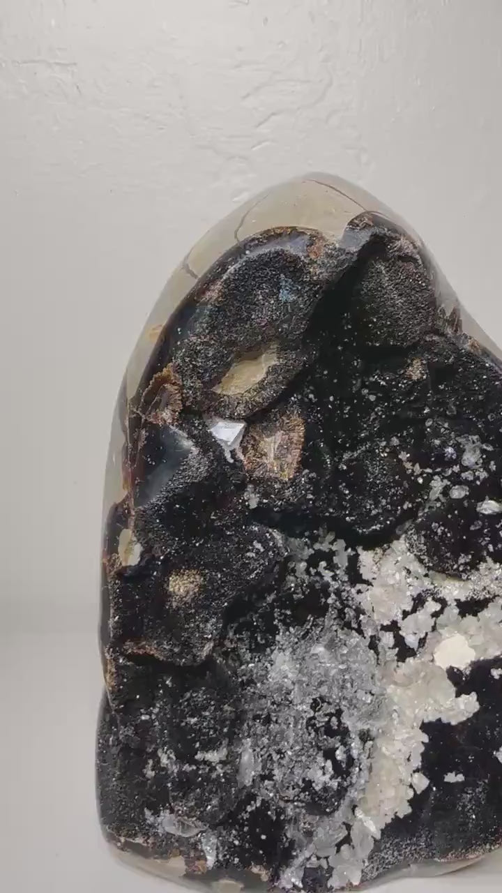 One-of-a-Kind Septarian Freeform with Druzy Cavity (7.5 in, 6 lb) — média du produit 5