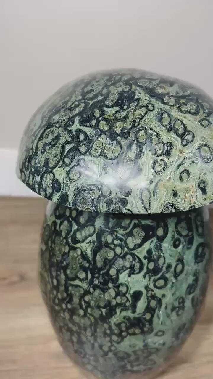 Kabamba Jasper Mushroom Sculpture, 60.9 lb — video of the exact piece