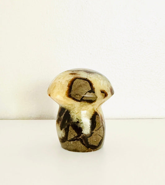 Unique Septarian Mushroom - Natural Healing and Grounding Stone - KREATEUR MIAMI